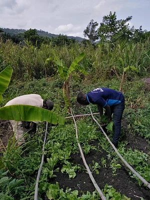 EarthCare Permaculture Ghana