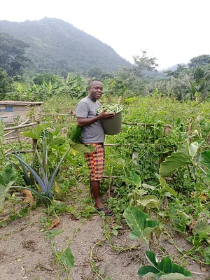 EarthCare Permaculture Ghana