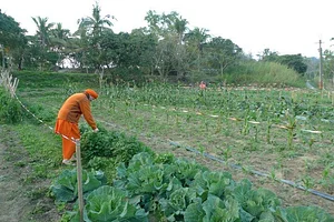 Ananda Suruci Farm