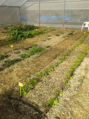 Petrera Permaculture Land