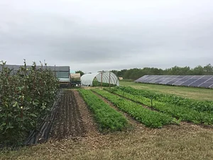 Talking Tree Farm
