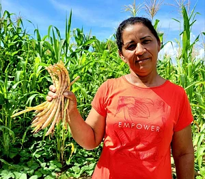 Photo Agricultora Tânia Fernandes realizando colheita em seu SAF