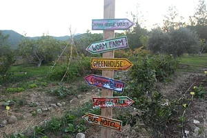 Petrera Permaculture Land