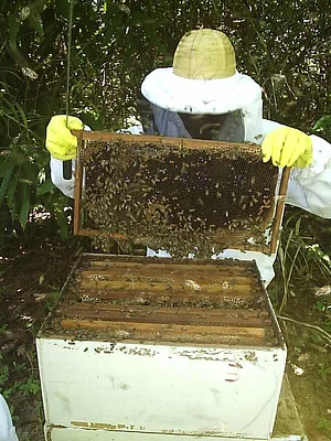 Comunidade Agroecológica