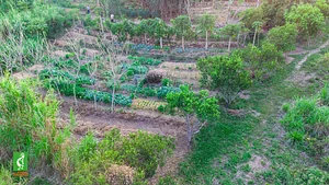 Granja Kokopelli