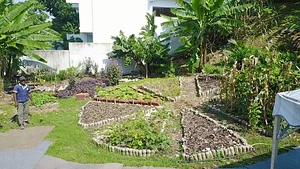 Urban Hijau
