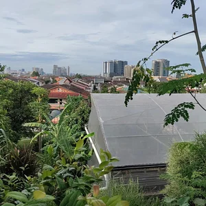 Urban Hijau