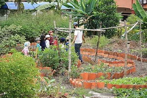 Urban Hijau