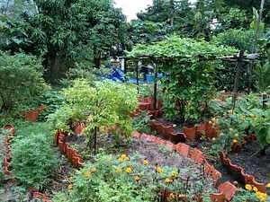 Urban Hijau