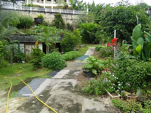 Urban Hijau