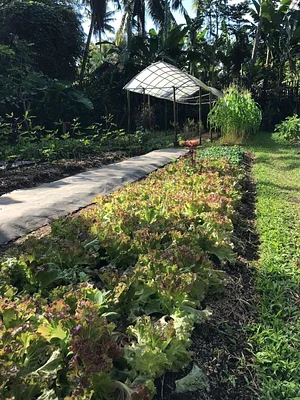 The Kul Kul Farm