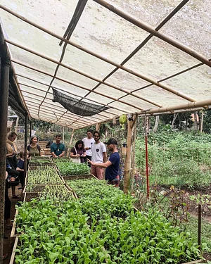 The Kul Kul Farm