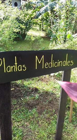Finca Agroecologica Vivencias Campesinas​