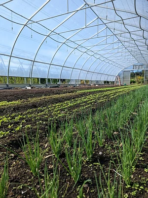 UBC Farm