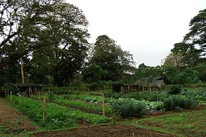 El Retiro Finca Agroecológica