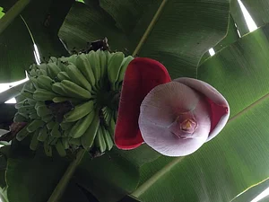 El Retiro Finca Agroecológica