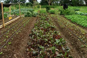 El Retiro Finca Agroecológica