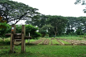 El Retiro Finca Agroecológica