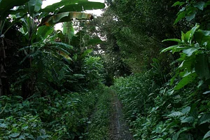 El Retiro Finca Agroecológica
