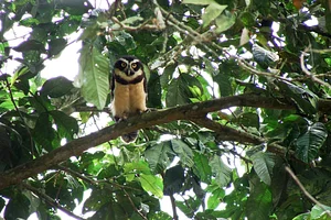 El Retiro Finca Agroecológica