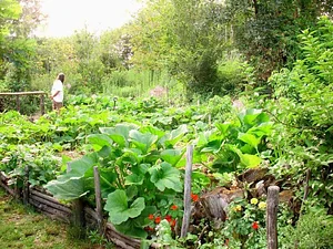 La Ferme de Sourrou