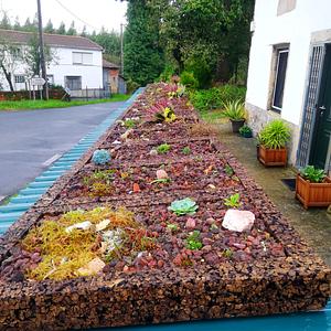 Techos verdes con jardineras autofabricadas.