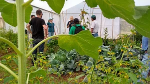 Maestría en Agroecología y Sistemas Alimentarios Regenerativos