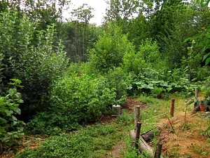 La Ferme de Sourrou