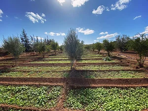 Akal Ferme en Permaculture