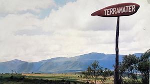 Terramater