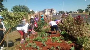 Horta Comunitária do Sudoeste