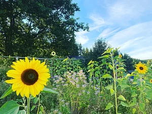 Ridgedale Farm