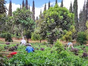 Akal Ferme en Permaculture