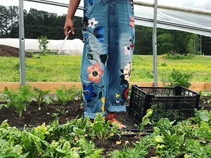 Jody's Farms