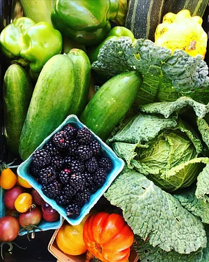 Jody's Farms