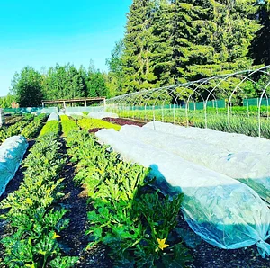 Ridgedale Farm