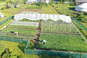 Ridgedale Farm
