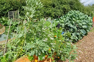 Tap o' Noth Farm