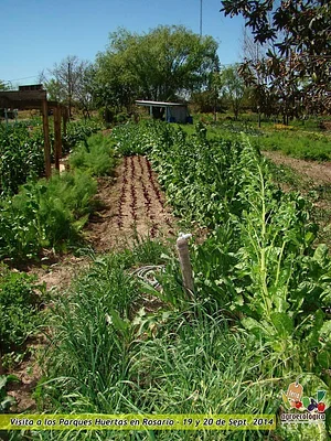 Feria Agroecológica de Córdoba 2