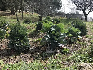 Belentepe Permaculture Practice and Wildlife Farm