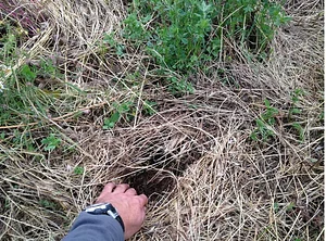 Belentepe Permaculture Practice and Wildlife Farm