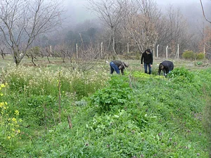 Belentepe Permaculture Practice and Wildlife Farm