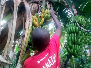 Umuntu Movement Uganda