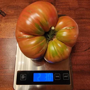 Hildaberry Permaculture Farm & Nursery