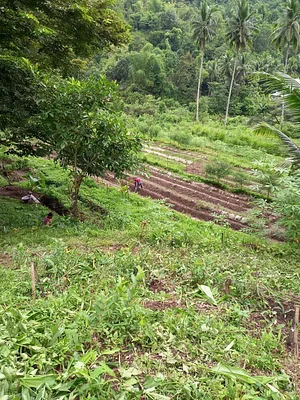 Green Warrior Eco-Farm