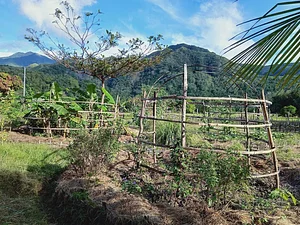 Green Warrior Eco-Farm