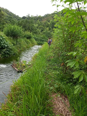 Green Warrior Eco-Farm