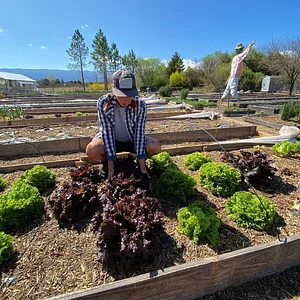 El Campanario - Finca Agroecológica
