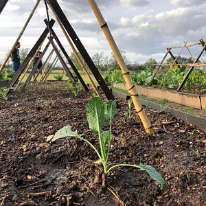 El Campanario - Finca Agroecológica