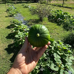 El Campanario - Finca Agroecológica
